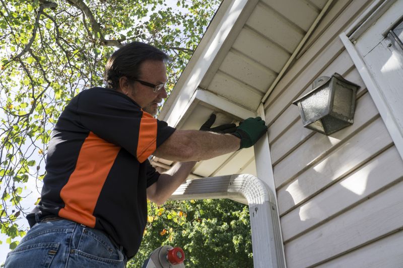 Vinyl Siding Repair Professional Image 3